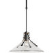 Henry 1 Light 14.4 inch Coastal Black Outdoor Pendant in Clear, Medium