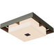 Shadow Box 2 Light 12 inch Coastal Dark Smoke and Coastal Dark Smoke Outdoor Flush Mount, Small