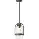 Alcove 1 Light 7.8 inch Coastal Natural Iron Outdoor Pendant in Clear
