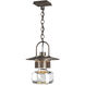 Mason 1 Light 11.3 inch Coastal Dark Smoke Outdoor Ceiling Fixture, Large