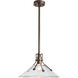 Henry 1 Light 14.4 inch Coastal Bronze Outdoor Pendant in Clear, Medium