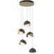 Brooklyn 5 Light 16 inch Modern Brass and Dark Smoke Pendant Ceiling Light in Modern Brass/Dark Smoke