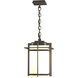 Tourou 1 Light 10.25 inch Coastal Dark Smoke Outdoor Ceiling Fixture, Large