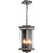 Kingston 4 Light 9.6 inch Coastal Bronze and Translucent Vintage Platinum Outdoor Lantern in Coastal Bronze/Translucent Vintage Platinum, Large