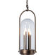 Davis 4 Light 11.7 inch Coastal Oil Rubbed Bronze Outdoor Hanging Lantern
