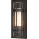 Torch 1 Light 12 inch Coastal Oil Rubbed Bronze Outdoor Sconce, Small