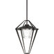 Stellar 1 Light 18.2 inch Coastal White Outdoor Pendant/Semi-Flush in Clear, Large
