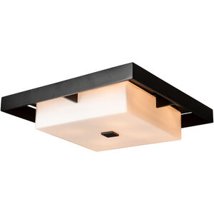 Shadow Box 4 Light 16.10 inch Outdoor Ceiling Light