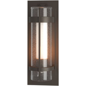 Torch 1 Light 20.8 inch Coastal Dark Smoke Outdoor Sconce, Large