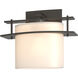 Arc Ellipse 1 Light 9 inch Dark Smoke ADA Sconce Wall Light