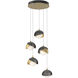 Brooklyn 5 Light 16 inch Modern Brass and Ink Pendant Ceiling Light