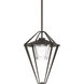 Stellar 1 Light 18.2 inch Coastal Dark Smoke Outdoor Pendant/Semi-Flush, Large