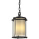 Meridian 1 Light 7.7 inch Coastal Black Outdoor Ceiling Fixture