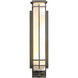 After Hours 1 Light 26.8 inch Coastal Dark Smoke Outdoor Sconce, Large