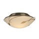 Forged Leaves 2 Light 13.6 inch Modern Brass Flush Mount Ceiling Light