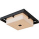 Shadow Box 4 Light 16.1 inch Coastal Black and Coastal Black Outdoor Flush Mount, Large