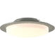 Oceanus 2 Light 16.5 inch Sterling Semi-Flush Ceiling Light