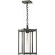 Cela 1 Light 8 inch Coastal Natural Iron Outdoor Lantern in Clear, Large