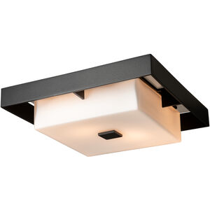 Shadow Box 2 Light 12.00 inch Outdoor Ceiling Light