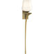 Antasia 1 Light 6.00 inch Wall Sconce