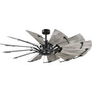 Indoor Ceiling Fans