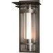 Torch 1 Light 20.3 inch Coastal Dark Smoke Outdoor Sconce, Large - Open Box