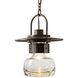 Mason 1 Light 11.3 inch Coastal Dark Smoke Outdoor Ceiling Fixture, Large