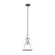 Caliper 1 Light 9.9 inch Natural Iron Pendant Ceiling Light in Clear