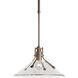 Henry 1 Light 14.4 inch Coastal Dark Smoke Outdoor Pendant in Clear, Medium