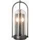 Davis 2 Light 22.4 inch Coastal Dark Smoke Outdoor Sconce, Medium