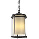 Meridian 1 Light 9.7 inch Coastal Black Outdoor Ceiling Fixture, Large