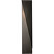 Carbon 1 Light 37.9 inch Coastal Burnished Steel Outdoor Sconce, Medium