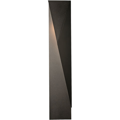 Carbon 1 Light 37.9 inch Coastal Burnished Steel Outdoor Sconce, Medium