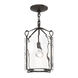 Bow 1 Light 9.8 inch Oil Rubbed Bronze Semi-Flush Ceiling Light in Water