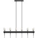 Echo 12 Light 48 inch Black Linear Pendant Ceiling Light