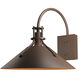 Henry 1 Light 12.9 inch Coastal Bronze Outdoor Sconce, Large