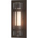 Torch 1 Light 15.8 inch Coastal Bronze Outdoor Sconce