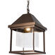 Dorset 1 Light 14.6 inch Coastal Oil Rubbed Bronze Outdoor Hanging Lantern in Seeded Clear