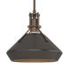 Henry 1 Light 10 inch Bronze and Oil Rubbed Bronze Pendant Ceiling Light in Bronze/Oil Rubbed Bronze