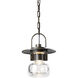 Mason 1 Light 8.2 inch Coastal Bronze Outdoor Ceiling Fixture - Open Box