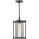 Cela 1 Light 8 inch Coastal Dark Smoke Outdoor Lantern in Clear, Large
