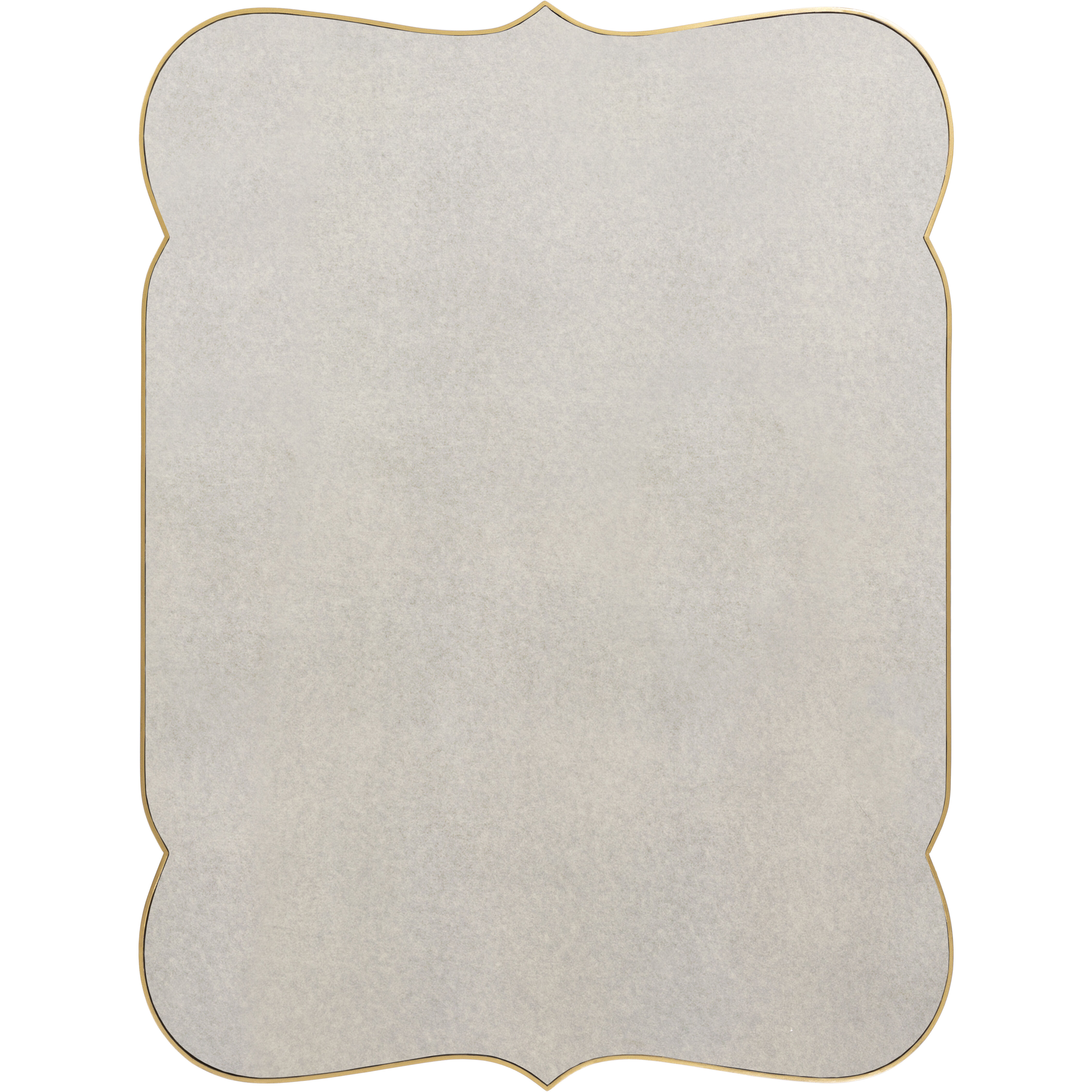 Imelda 40 X 30 inch Gold Mirror, Large