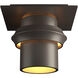 Twilight 1 Light 6 inch Coastal Dark Smoke Outdoor Semi-Flush, Small