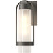 Alcove 1 Light 15.8 inch Coastal Natural Iron Outdoor Sconce in Frosted, Small