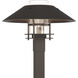 Henry 1 Light 15.8 inch Coastal Dark Smoke and Coastal White Outdoor Post Light in Clear
