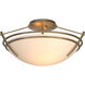 Presidio Tryne 2 Light 16.4 inch Soft Gold Semi-Flush Ceiling Light in Opal, Small