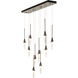 Lilium 10 Light 44.5 inch Dark Smoke Linear Pendant Ceiling Light