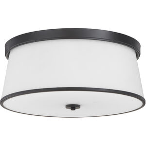 Weir 4 Light 20 inch Matte Black Flush Mount Ceiling Light