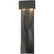 Tress LED 31.8 inch Coastal Black Outdoor Sconce, Large