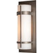Banded 1 Light 20.8 inch Coastal Dark Smoke Outdoor Sconce, Large